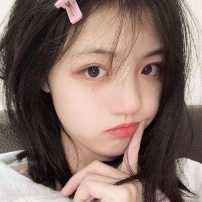 芭比姐妹之追逐的小狗 封面