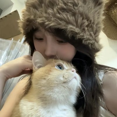 单身骑士 封面